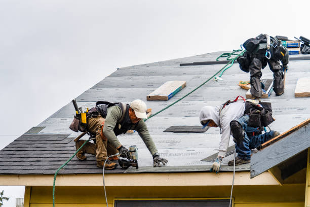 Professional Gutter Installation technician working in Rapids City, IL